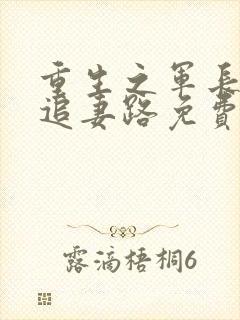 重生之军长漫漫追妻路免费阅读