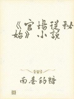 《官场从秘书开始》小说封面