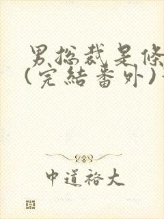男总裁是条骚狗(完结番外)笔趣阁小说