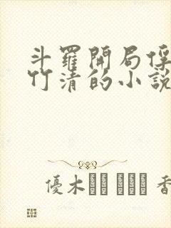 斗罗开局俘获朱竹清的小说封面