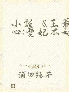 小说 《王爷当心:爱妃不好惹》