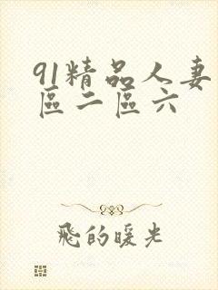 91精品人妻一区二区六