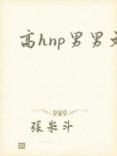 高hnp男男文封面