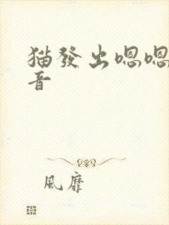 猫发出嗯嗯的声音