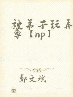 被弟子玩弄的师尊【np】