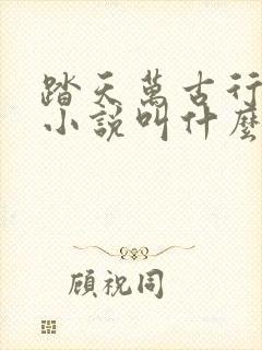 踏天万古行原著小说叫什么名字