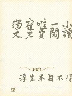 独宠唯一小说全文免费阅读