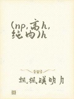 (np,高h,纯肉)h
