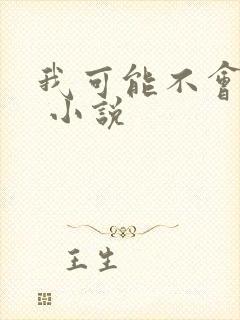我可能不会爱你 小说封面