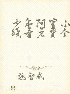少年阿宾小说在线看免费全文无弹窗