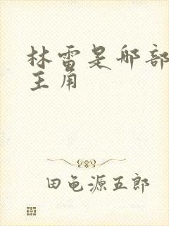 林雷是哪部小说主角