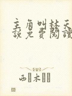 主角叫林天的小说免费阅读