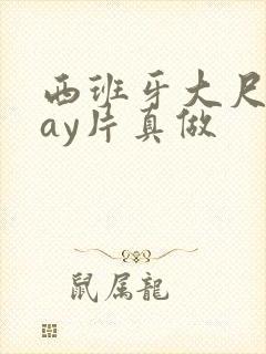 西班牙大尺度gay片真做