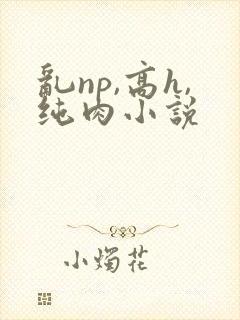 乱np,高h,纯肉小说