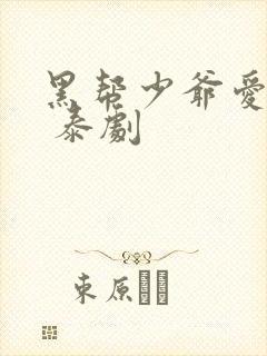 黑帮少爷爱上我 泰剧