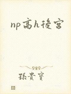 np高h后宫