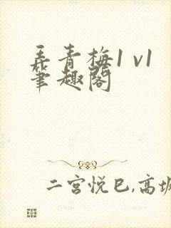 弄青梅1 v1笔趣阁