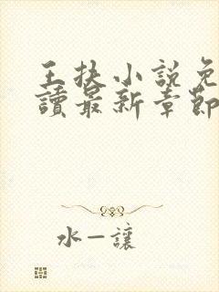 王扶小说免费阅读最新章节无弹窗