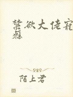 禁欲大佬宠妻上瘾