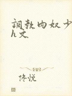 调教肉奴少司缘h文