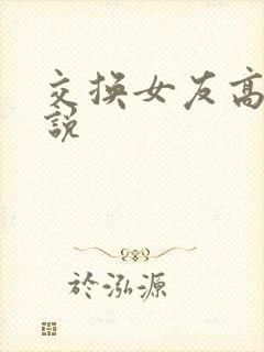 交换女友高h小说封面