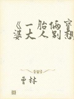 《一胎俩宝:老婆大人别想逃》封面