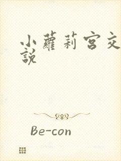 小萝莉宫交h小说