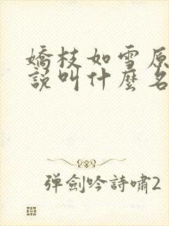 娇枝如雪原著小说叫什么名字