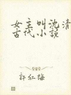 女主叫沈清欢的古代小说