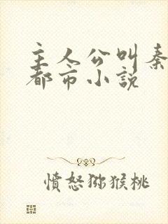 主人公叫秦朝的都市小说