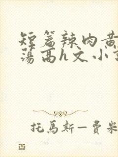短篇辣肉黄辣放荡高h文小说