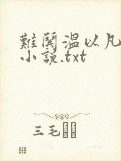 难哄温以凡桑延小说.txt