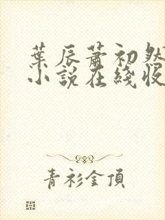 叶辰萧初然有声小说在线收听封面
