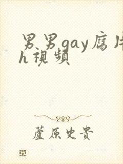 男男gay腐片h视频