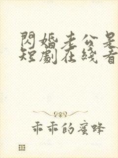 闪婚老公是总裁短剧在线看不卡顿