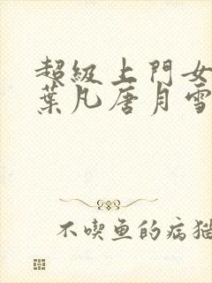 超级上门女婿 叶凡唐月雪小说免费阅读封面