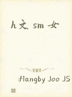 h文 sm 女