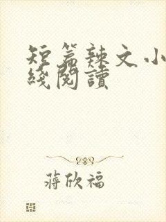 短篇辣文小说在线阅读
