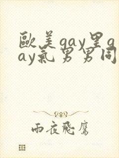 欧美gay里gay气男男同性恋网站