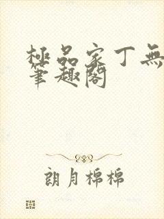 极品家丁无删减笔趣阁封面