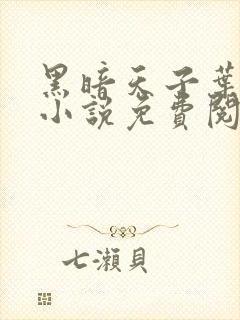 黑暗天子叶凌天小说免费阅读封面