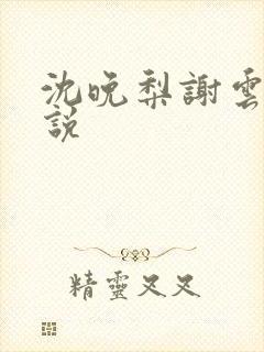 沈晚梨谢云迟小说封面