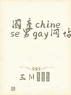 国产chinese男gay网站