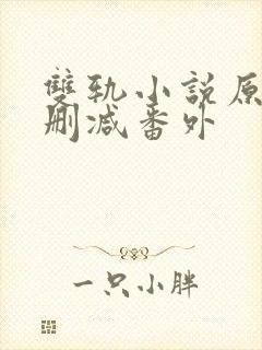 双轨小说原著未删减番外