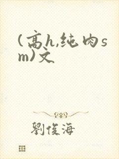(高h,纯肉sm)文