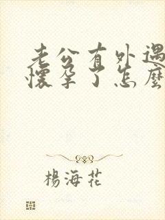 老公有外遇小三怀孕了怎么办封面