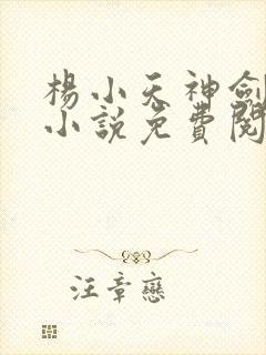 杨小天神剑无敌小说免费阅读全文
