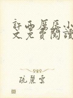 许西厉辰小说全文免费阅读最新章节封面