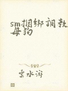 sm捆绑调教小母狗