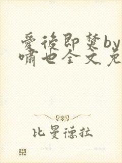爱后即焚by林啸也全文免费阅读笔趣阁封面